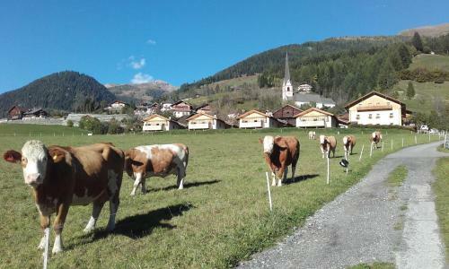 M�lltaler Ferienh�user
