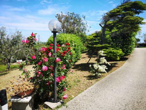 Apartamento Vacanze Al Mare Appartamento In Villa