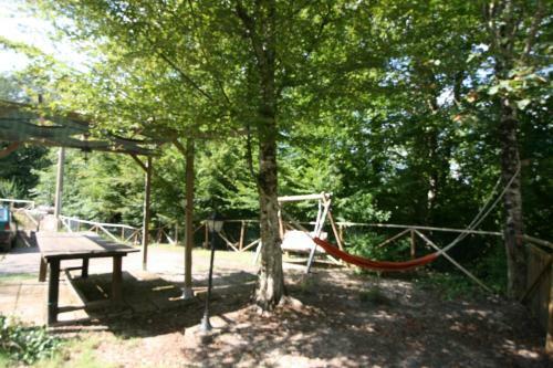 Il Mulino Del Rigualdo