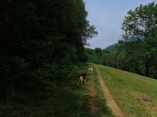 Beatamente B&B Olistico