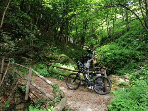 Beatamente B&B Olistico