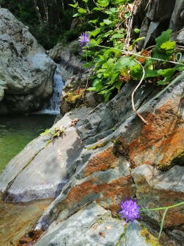 Beatamente B&B Olistico