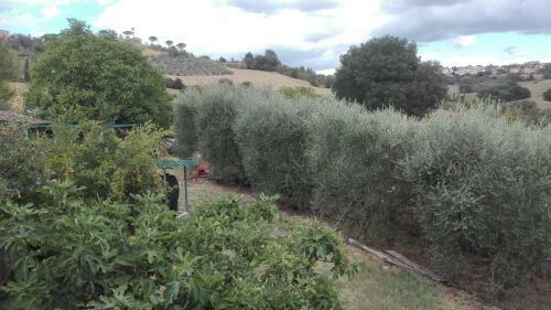 Agroturismo Agriturismo Cerquaglia