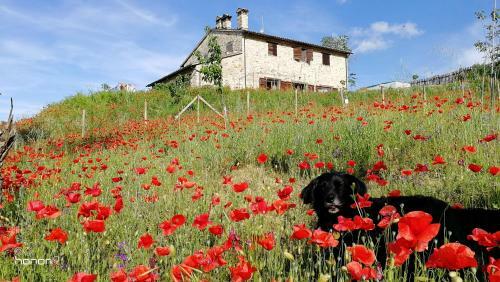 Bed & Breakfast Casale Le Orme