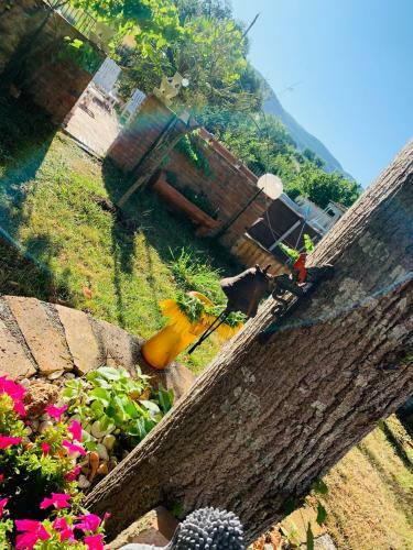 Bed & Breakfast La Maison