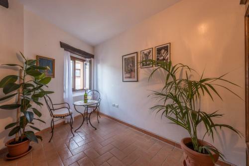 Hostal Lemon Tree Boutique Guest House