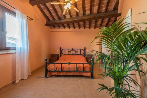 Hostal Lemon Tree Boutique Guest House
