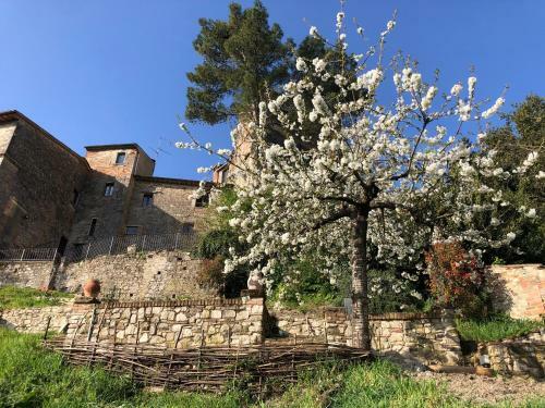 Hostal Lemon Tree Boutique Guest House