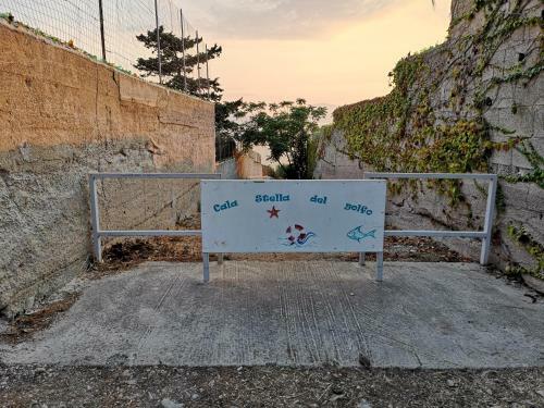 L'agapanto