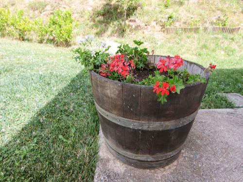 Vibrant Villa In Torre Di Ruggiero With Sauna