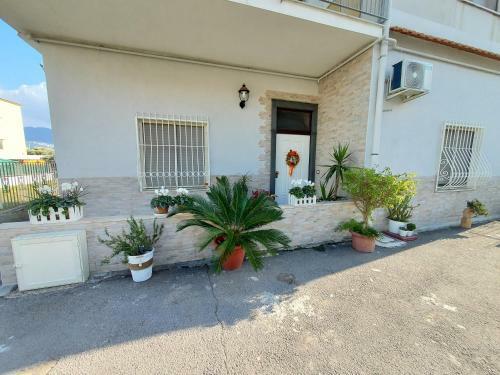 B&B Petra Hercules