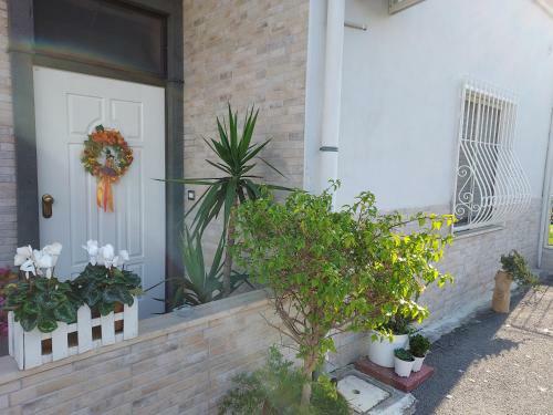 B&B Petra Hercules