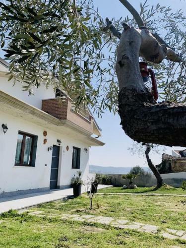 Villa Mastro Oleario 5 Dal Mare 30 Dai Monti