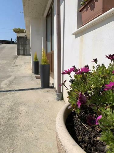 Villa Mastro Oleario 5 Dal Mare 30 Dai Monti