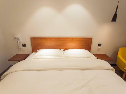Koala's Home Hostel