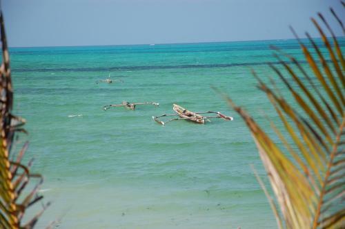 Sweet Beach Apartments