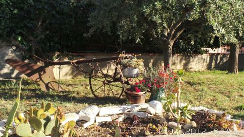 A Casa Di Nonna B&B