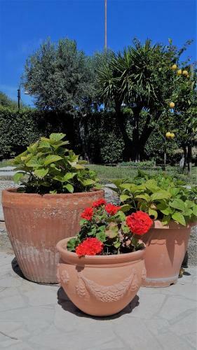 A Casa Di Nonna B&B