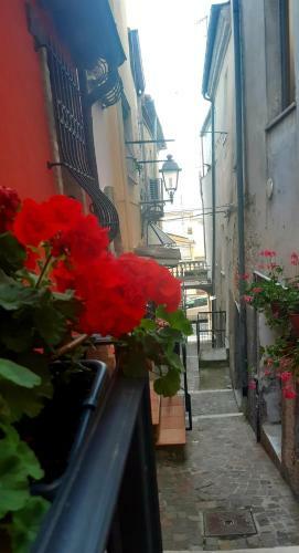 A Casa Di Nonna B&B
