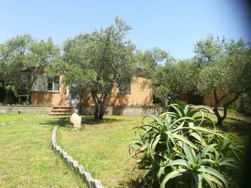 Villa Olia
