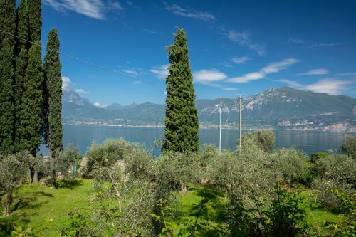 Appartamenti Le Dimore