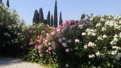 Appartamenti Le Dimore