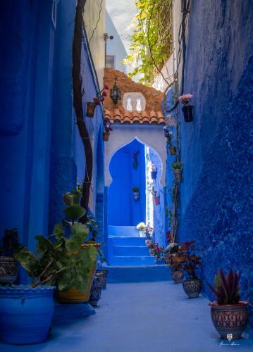 Albergue Casa Blue Star