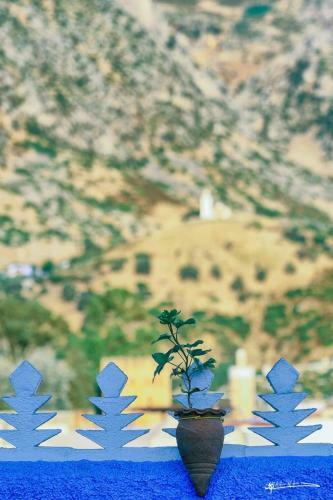 Bed & Breakfast Dar Rafik