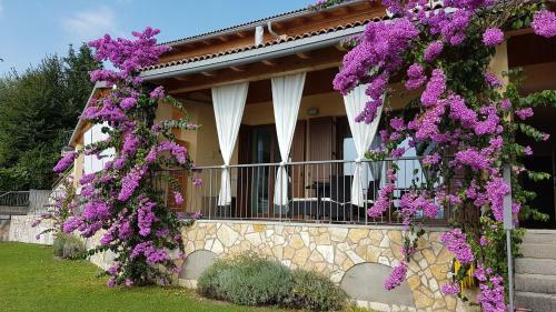 Apartment San Pietro