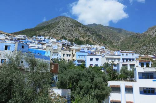 Hostel Aline