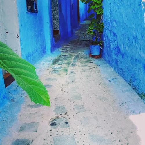 Apartamento Casa Mablu