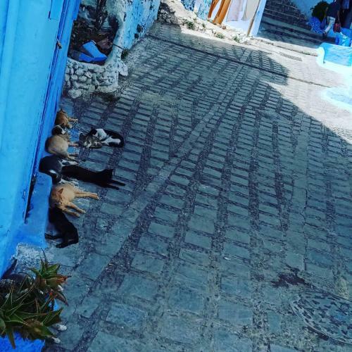 Apartamento Casa Mablu