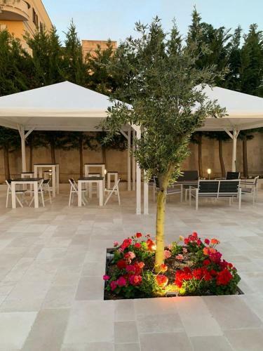 Bed & Breakfast Corte Bianca