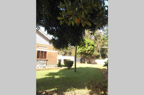 Elivaniya Lower Gardens
