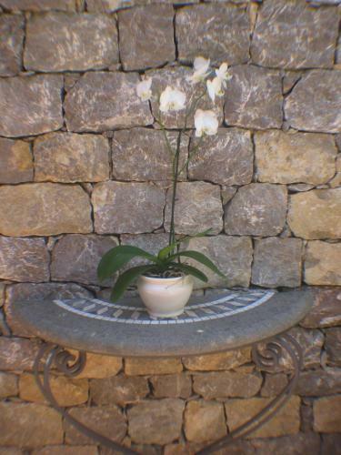 Villa Schuler Taormina Garden Suite In Self-catering
