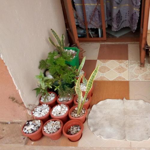 Gecko Bed & Breakfast