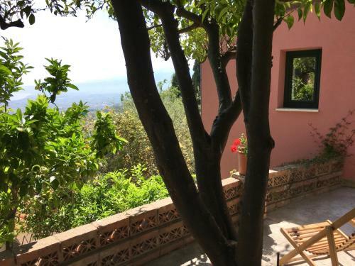 Margot�s House