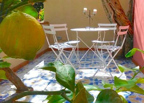 Margot�s House