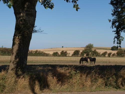 Bed & Breakfast Holmegaarden B & B-k