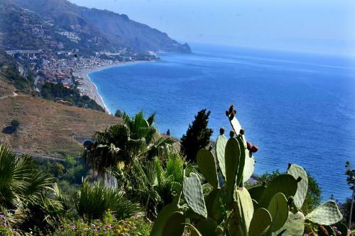 Taormina Sunny Apartment - Taormina Holidays