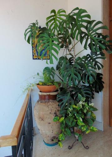 Bed & Breakfast Villa Sara