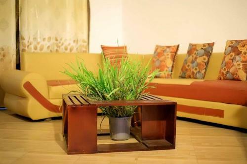 Lovie Apartment
