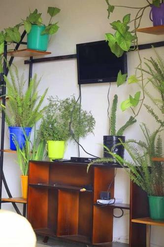Lovie Apartment