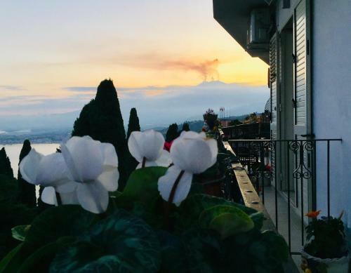 Bed & Breakfast Chiaro Di Luna