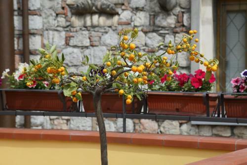 Cartolina Apartment