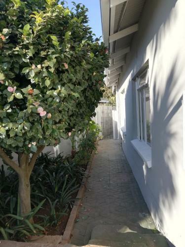 Hostal Willow Guest House