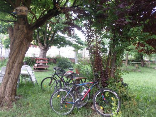 Hostal Molinos De Antero
