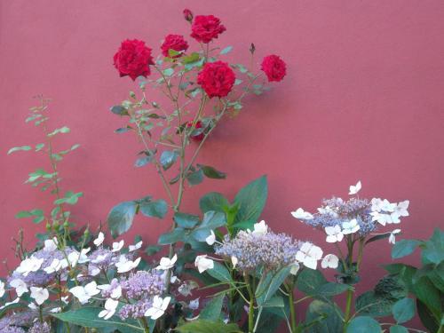 Hostal Molinos De Antero