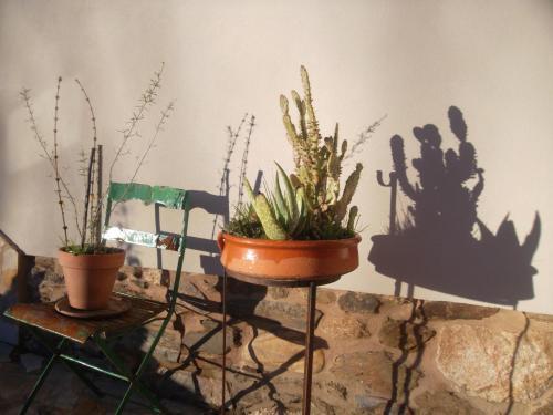 Hostal Molinos De Antero