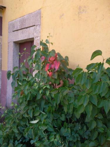 Hostal Molinos De Antero